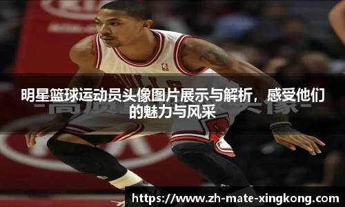 明星篮球运动员头像图片展示与解析，感受他们的魅力与风采